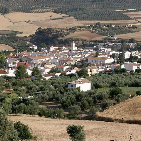 호텔 아리아드 2*