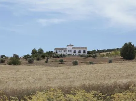 호텔 아리아드 2*