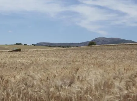 아리아드 2* 론다